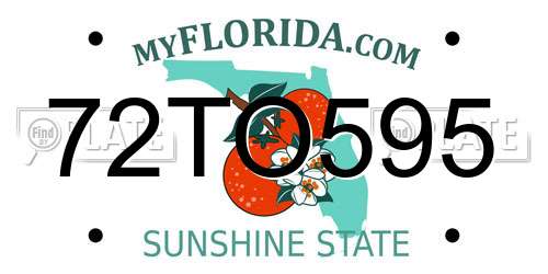 72TO595 Florida License Plate