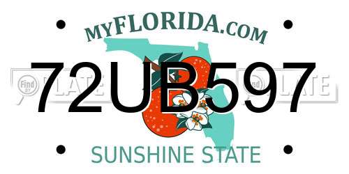 72UB597 Florida License Plate
