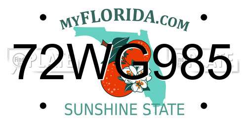 72WG985 Florida License Plate