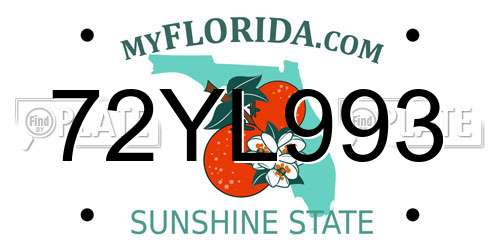 72YL993 Florida License Plate