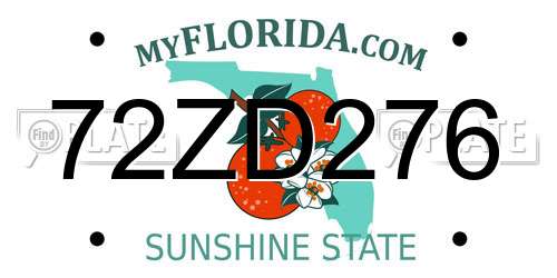 72ZD276 Florida License Plate