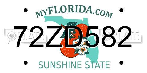 72ZD582 Florida License Plate
