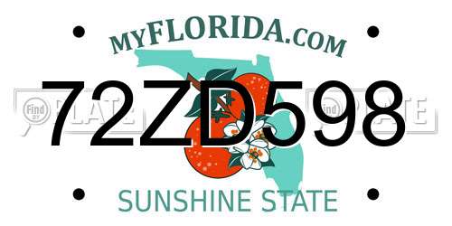 72ZD598 Florida License Plate