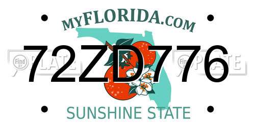 72ZD776 Florida License Plate