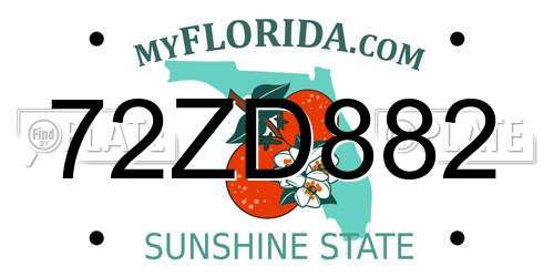 72ZD882 Florida License Plate