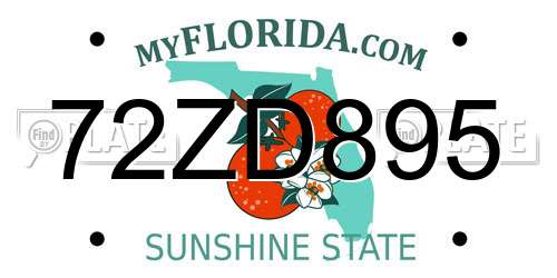 72ZD895 Florida License Plate