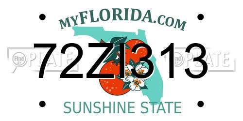 72ZI313 Florida License Plate