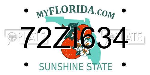 72ZI634 Florida License Plate
