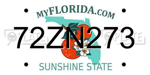 72ZN273 Florida License Plate