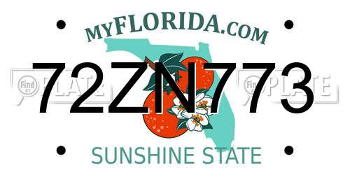 72ZN773 Florida License Plate