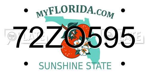 72ZO595 Florida License Plate