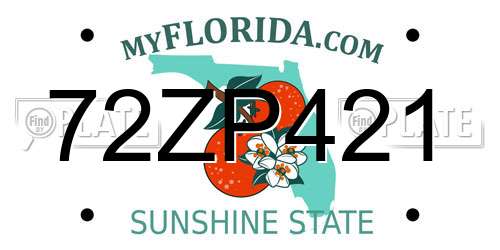 72ZP421 Florida License Plate