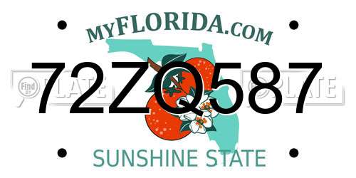 72ZQ587 Florida License Plate