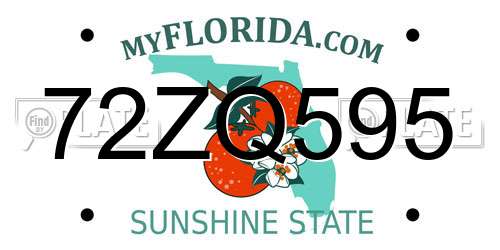 72ZQ595 Florida License Plate