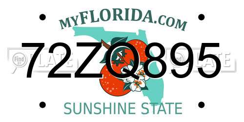 72ZQ895 Florida License Plate