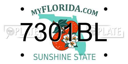 7301BL Florida License Plate