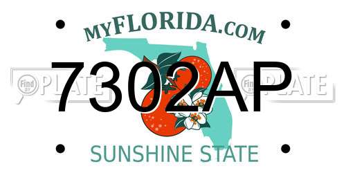 7302AP Florida License Plate