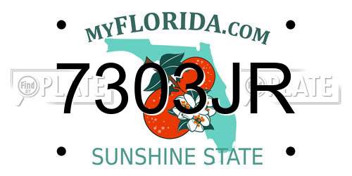 7303JR Florida License Plate