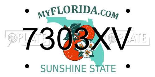 7303XV Florida License Plate