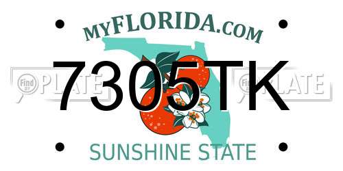 7305TK Florida License Plate