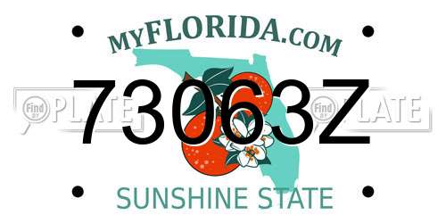 73063Z Florida License Plate