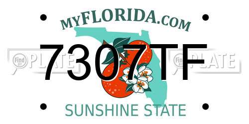 7307TF Florida License Plate