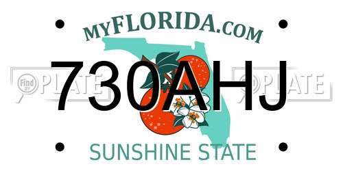730AHJ Florida License Plate
