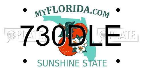 730DLE Florida License Plate