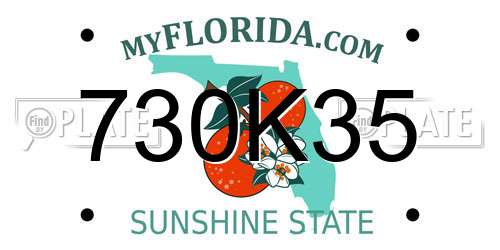 730K35 Florida License Plate