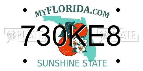 730KE8 Florida License Plate