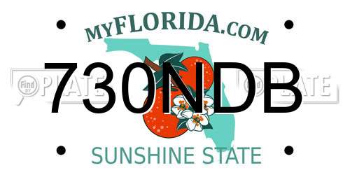 730NDB Florida License Plate