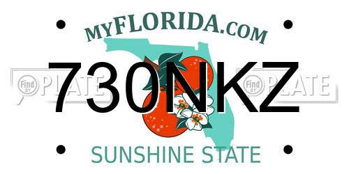 730NKZ Florida License Plate