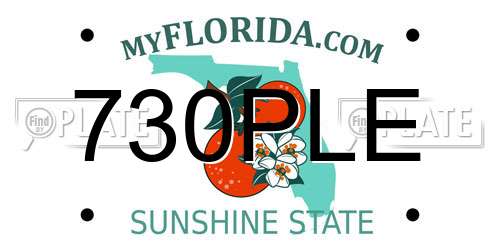 730PLE Florida License Plate