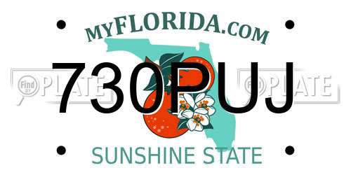 730PUJ Florida License Plate