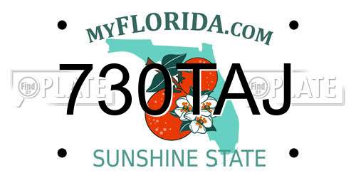 730TAJ Florida License Plate