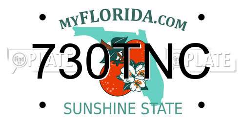 730TNC Florida License Plate