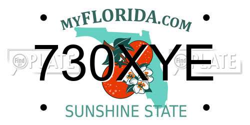730XYE Florida License Plate