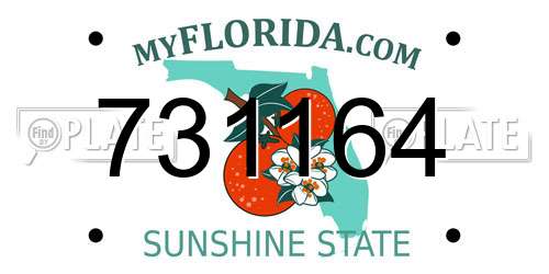 731164 Florida License Plate