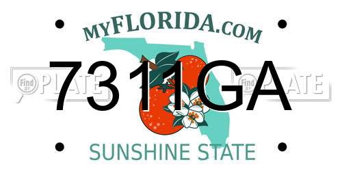 7311GA Florida License Plate
