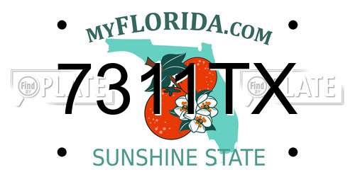7311TX Florida License Plate