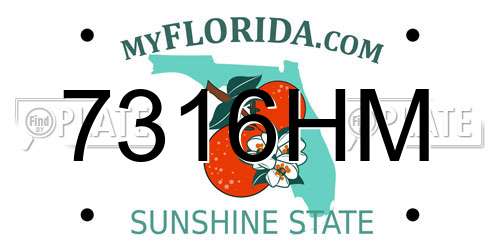 7316HM Florida License Plate