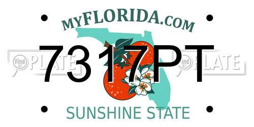 7317PT Florida License Plate
