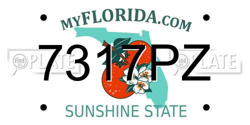 7317PZ Florida License Plate