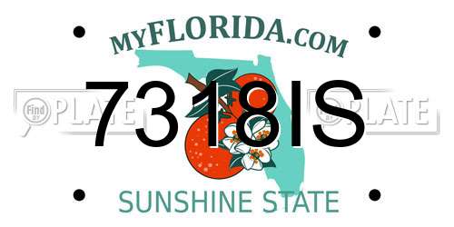 7318IS Florida License Plate