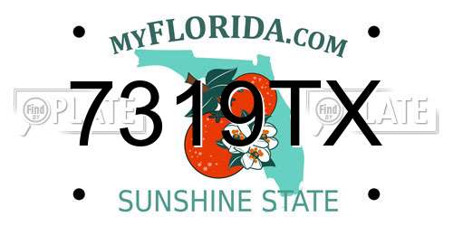 7319TX Florida License Plate
