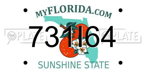 731I64 Florida License Plate