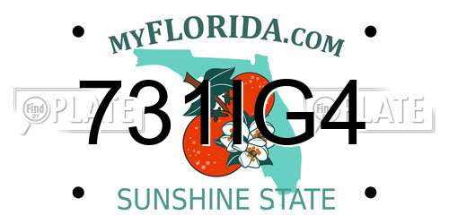 731IG4 Florida License Plate