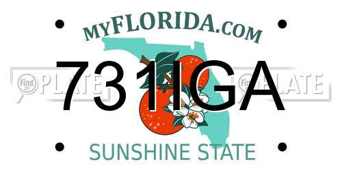 731IGA Florida License Plate