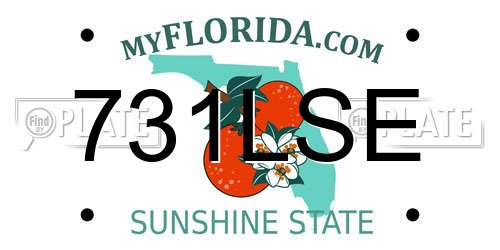 731LSE Florida License Plate