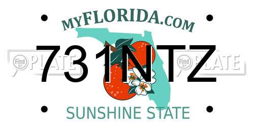 731NTZ Florida License Plate